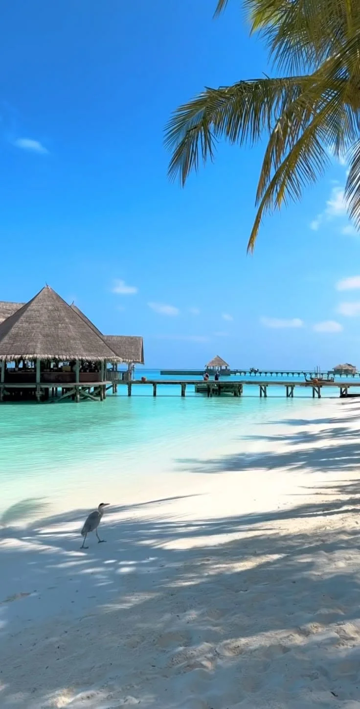 Gợi Ý 5 Tư Thế Chụp Ảnh Đi Biển Cực Chill Bắt Chọn Nắng Vàng