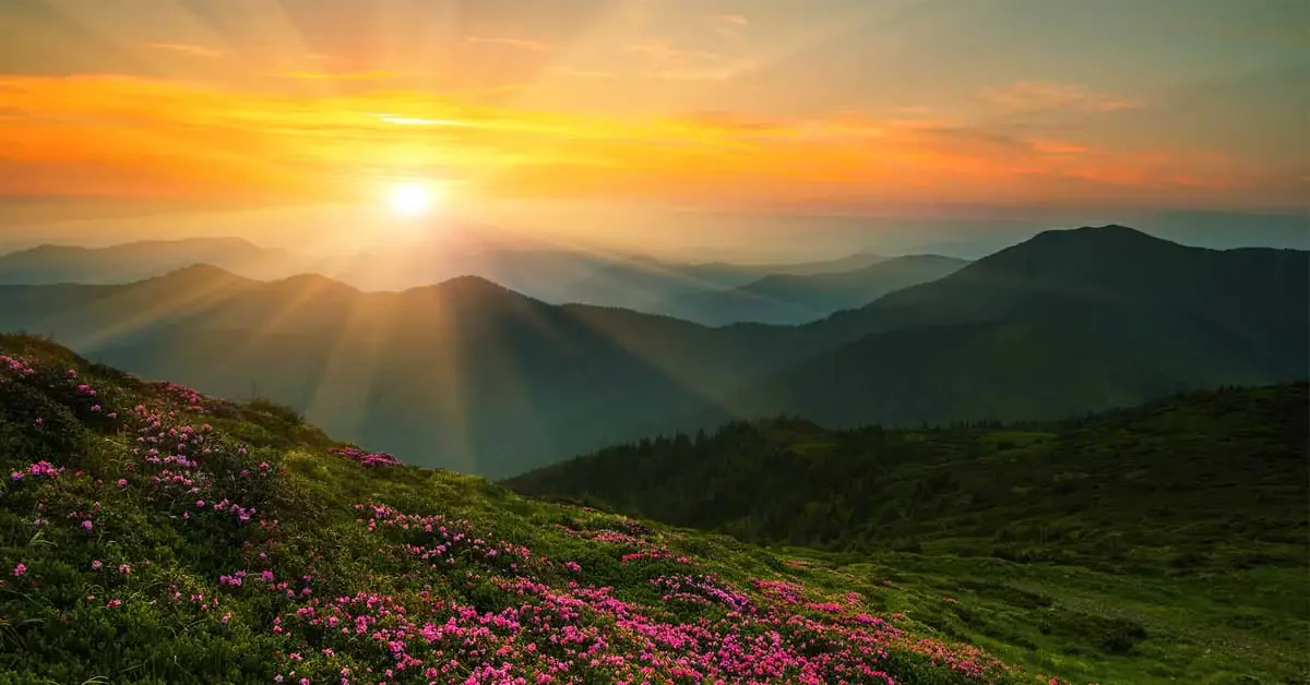 Top 1000+ Hình ảnh bình minh đẹp nhất