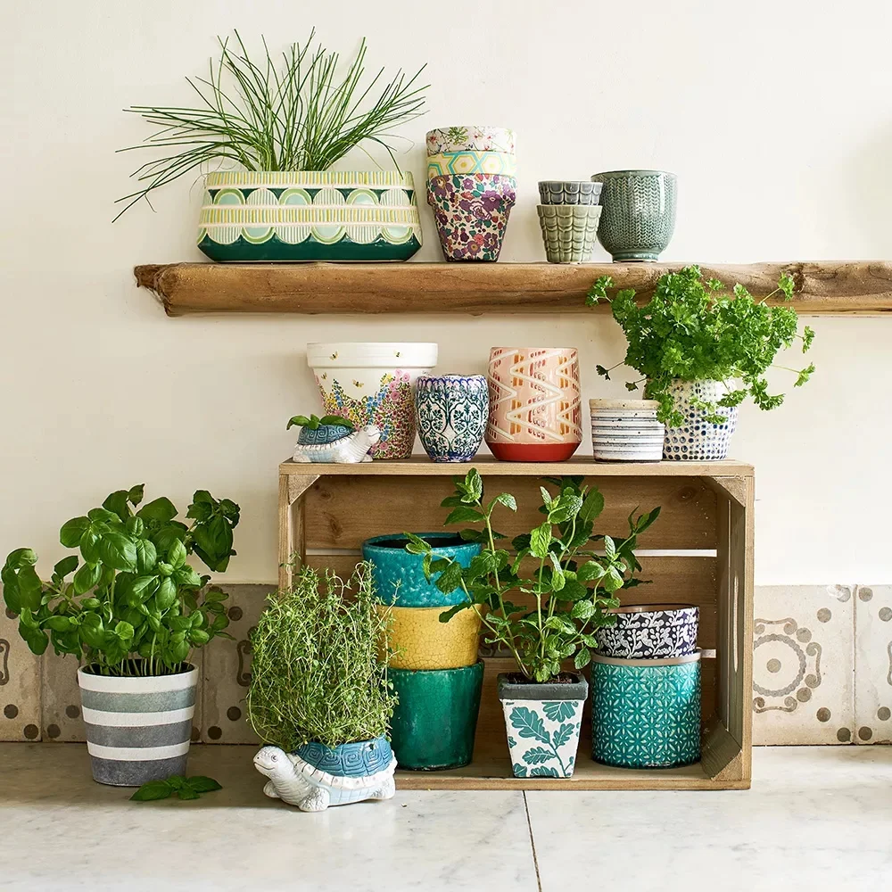 Decor phòng trọ nhỏ không gác với vườn thảo mộc xanh mát.