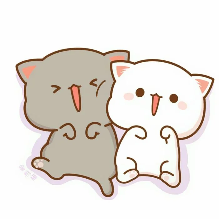 Hai chú mèo cute đang ôm nhau vui vẻ
