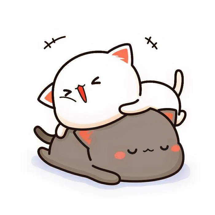 Chú mèo cute màu đen đang cõng mèo trắng trên lưng