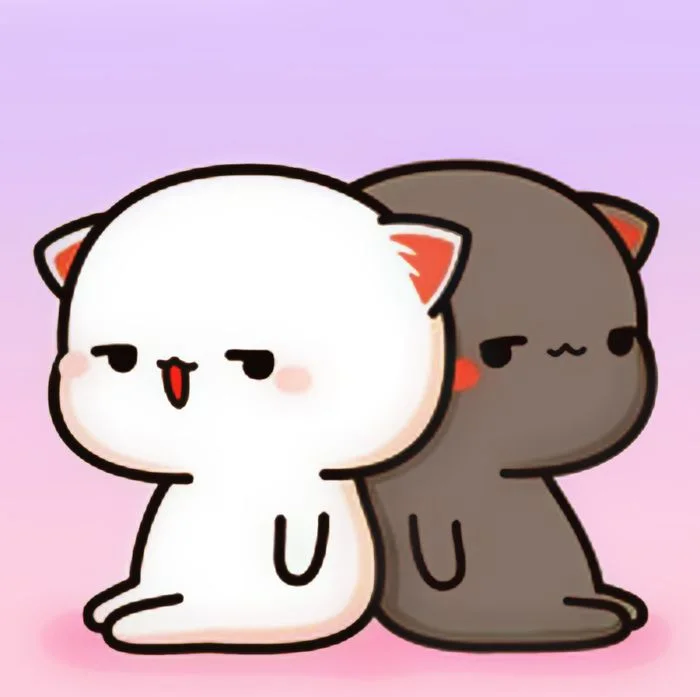 Hai chú mèo cute màu trắng và đen đang đứng cạnh nhau
