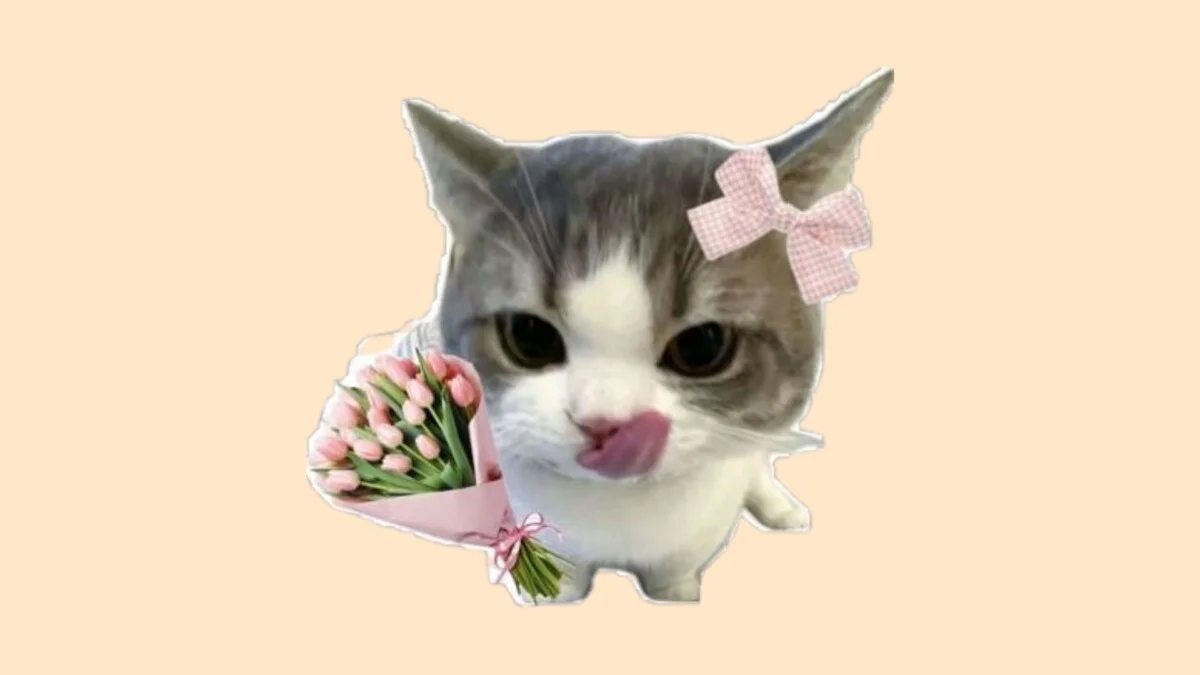 60+ Mẫu Sticker Mèo Cute, Hình Con Mèo Dễ Thương Chibi
