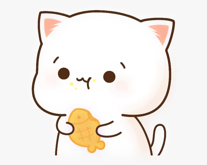 Chú mèo cute màu trắng đang ăn bánh