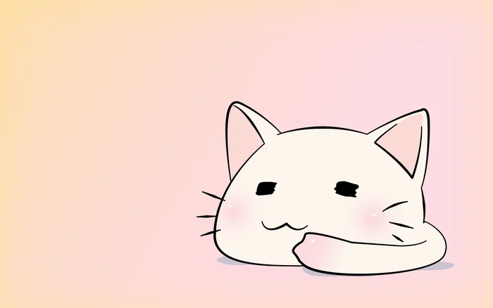 Chú mèo cute màu trắng đang nằm ngủ trên nền hồng