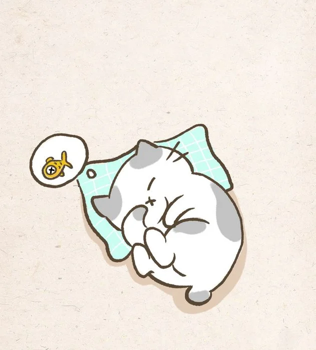 Chú mèo cute đang nằm cuộn tròn ngủ ngon lành