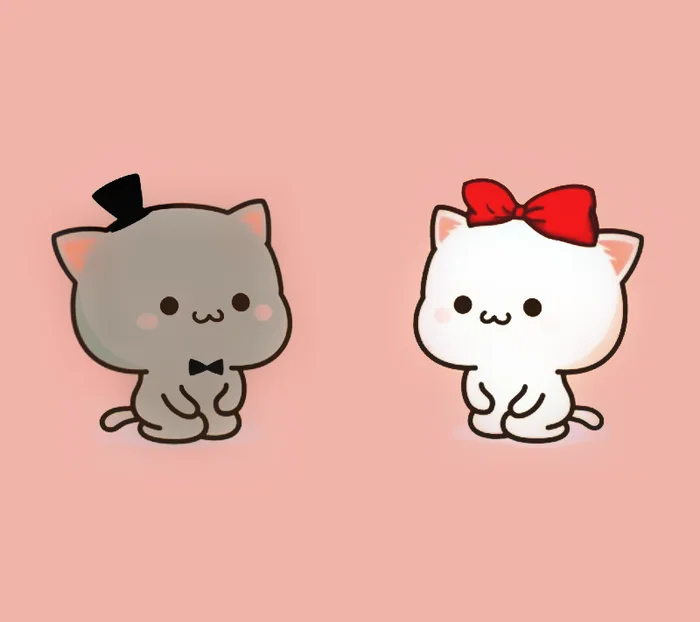Hai chú mèo cute mặc đồ hóa trang trên nền hồng