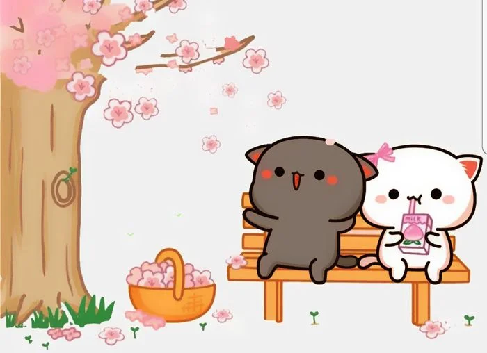 Hai chú mèo cute ngồi trên ghế gỗ dưới gốc cây hoa anh đào