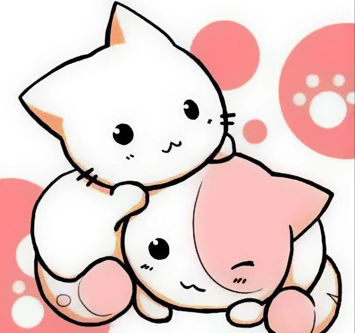 Hai chú mèo cute màu trắng và hồng đang ôm nhau
