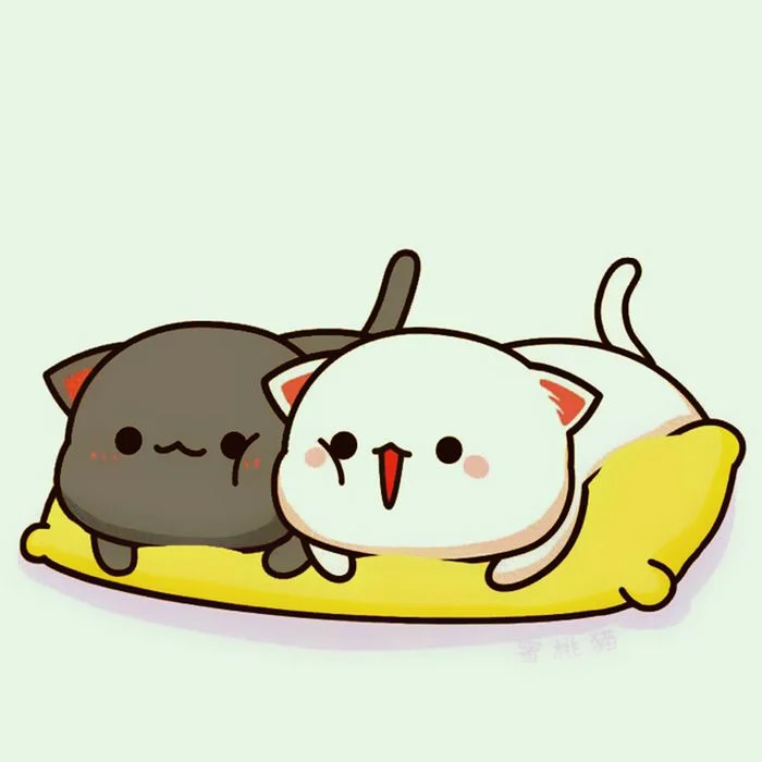 Hai chú mèo cute đang nằm ngủ trên nệm vàng