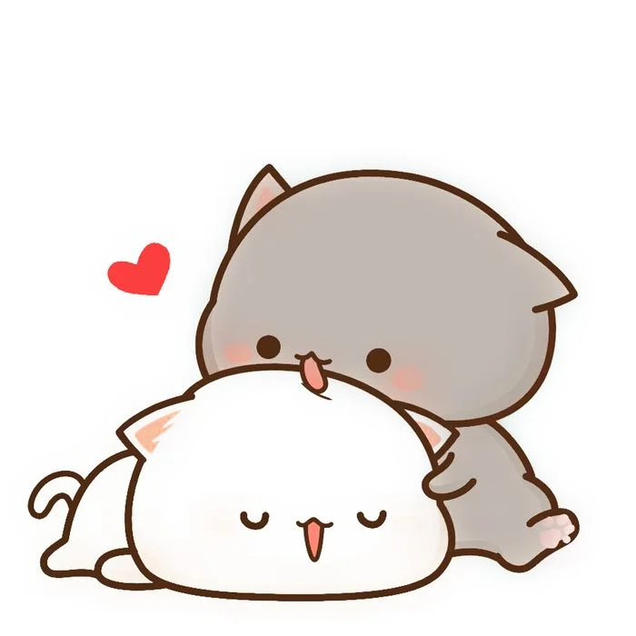 Hai chú mèo cute đang ôm nhau tình cảm