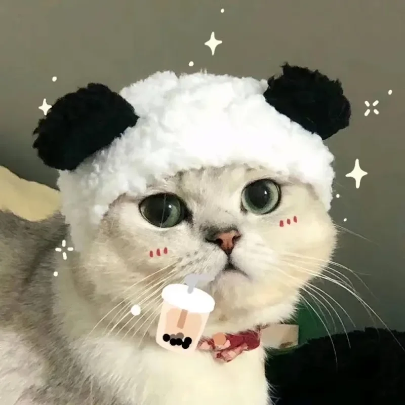 Tải ngay bộ sưu tập ảnh avatar cute siêu dễ thương