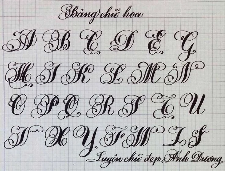 Những Mẫu Chữ Hoa Sáng Tạo ở Tiểu Học | Bảng chữ cái thư pháp, Font
