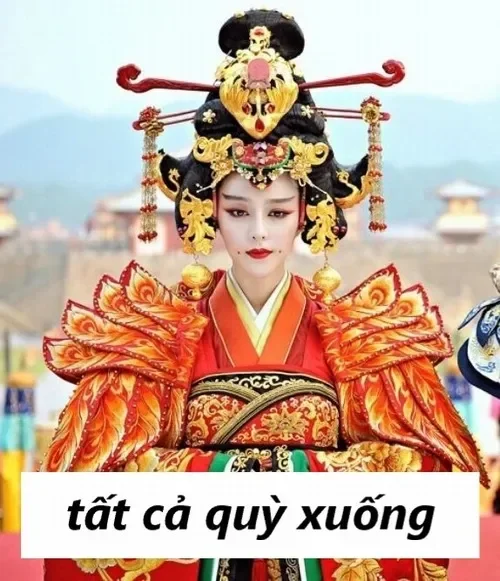 Ảnh meme hoàng hậu bawsy quỳ xuống